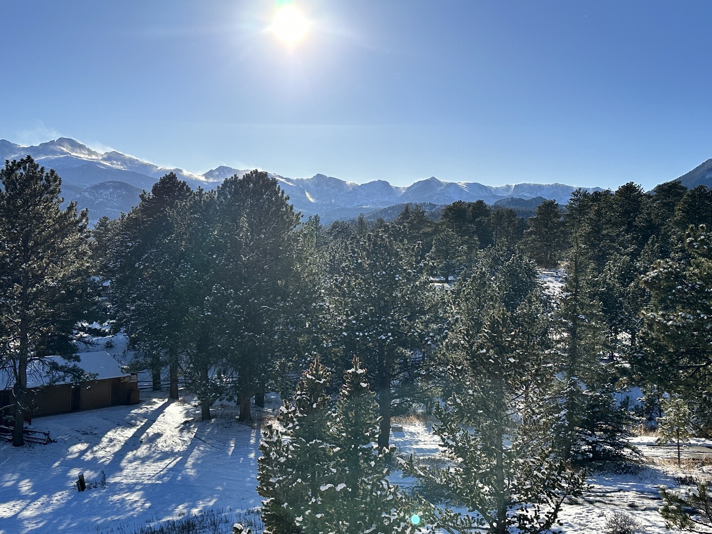 Breathtaking alpine landscape with snow-covered peaks rising beyond forested foothills under brilliant blue skies.