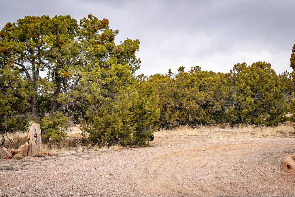 A peaceful desert landscape with mature trees and natural terrain surrounds this rural property location.