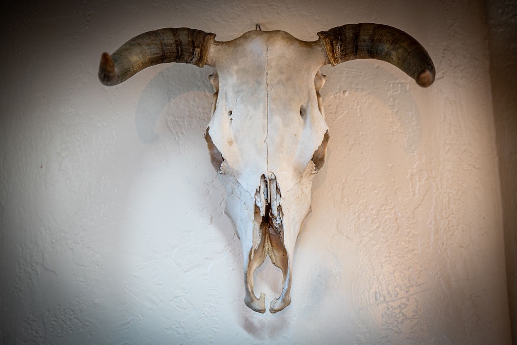 Step into your rustic retreat where unique decor adds character to every corner of your stay.