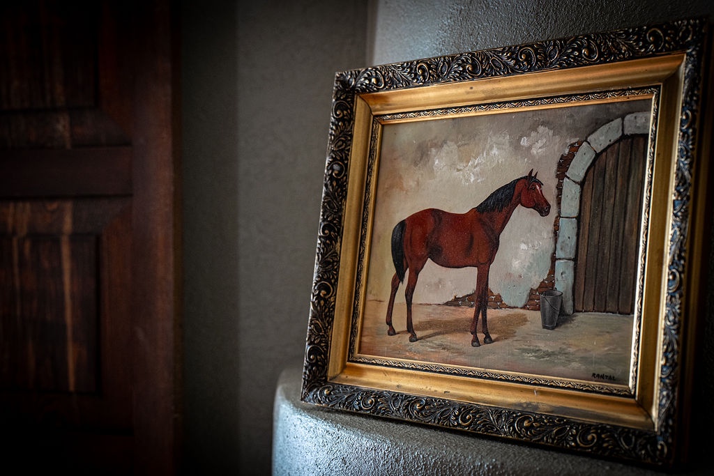 Admire this elegant equestrian artwork adorning your stay, where classic charm meets artistic sophistication in every thoughtfully curated detail.