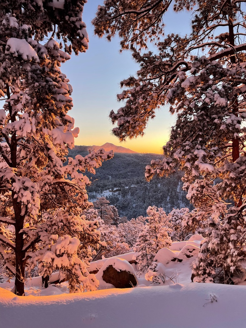 A breathtaking winter sunset paints the snow-covered forest and distant mountains in soft golden hues, showcasing the pristine natural beauty surrounding the property.