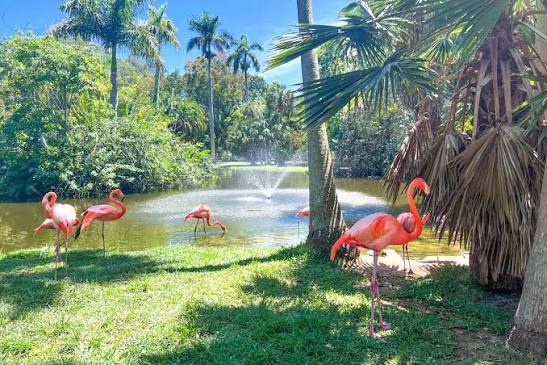 The property is walking distance to Jungle Gardens, a fun attraction for the entire family.