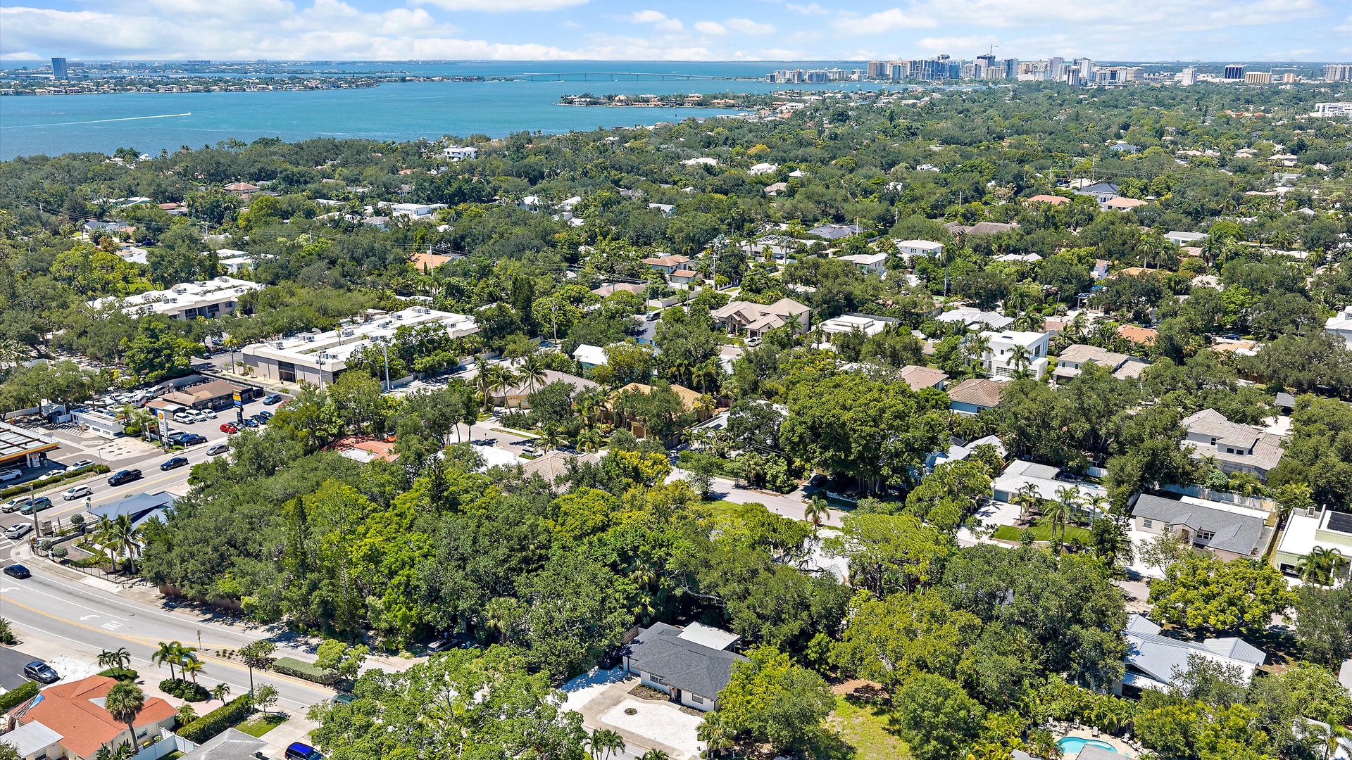 Aerial view of a lush residential neighborhood with waterfront proximity and city skyline in the distance.