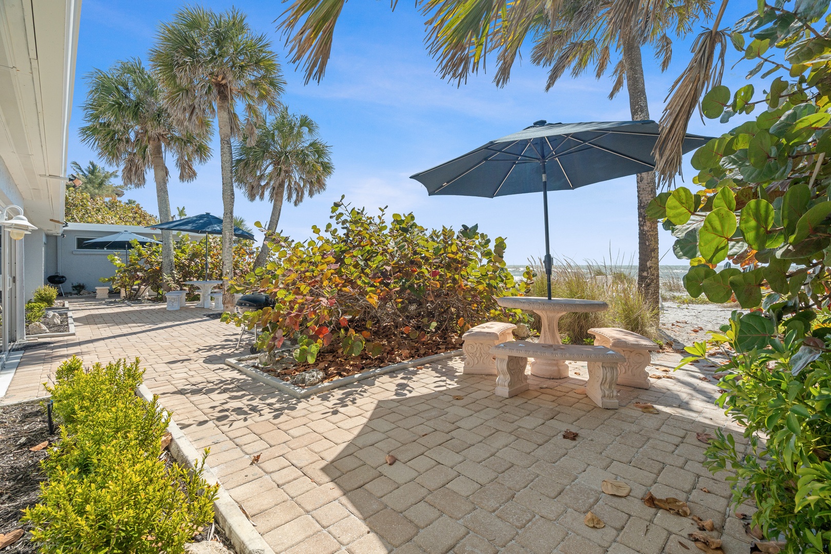 Tropical beachfront property featuring lush palm trees, native vegetation, and peaceful outdoor seating areas with ocean access.