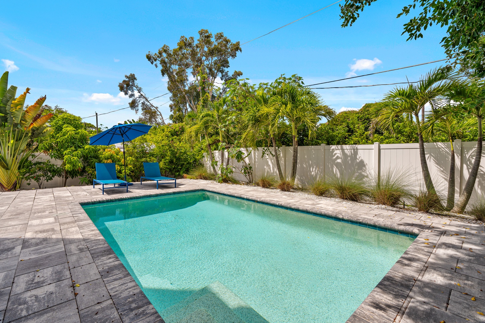 Private pool surrounded by tropical palms and sunshine, with loungers waiting for your afternoon escape.