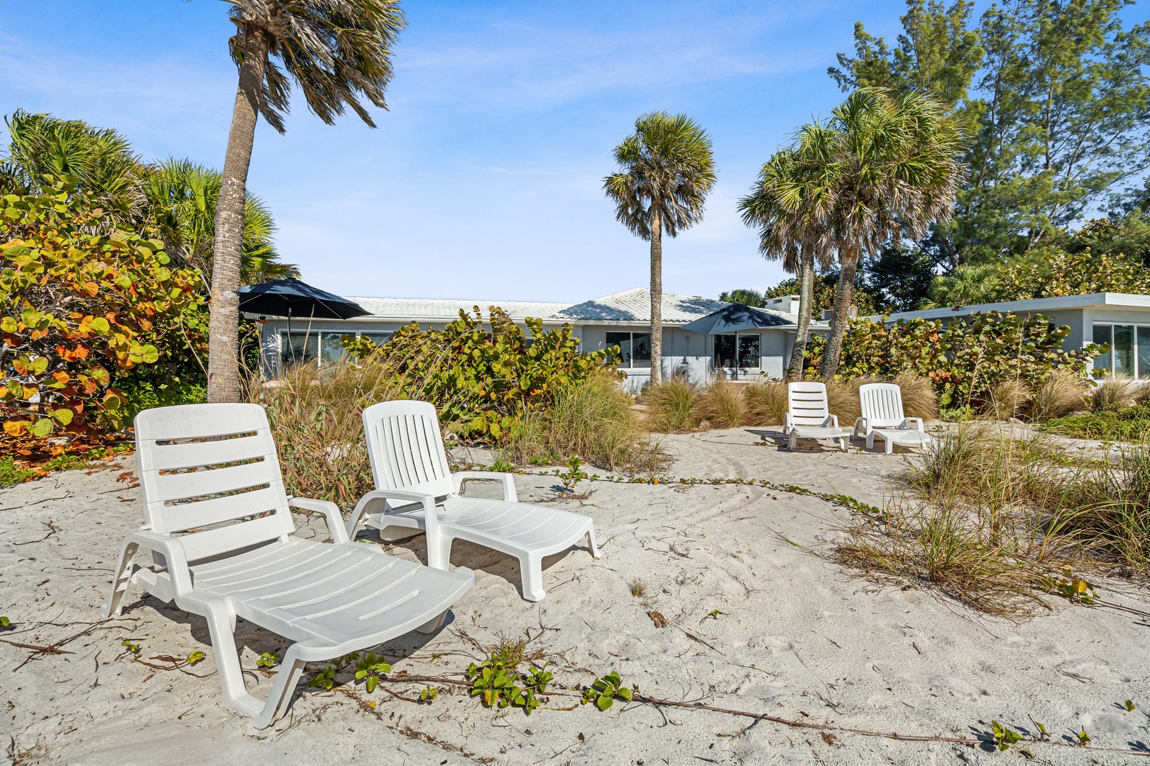 Beachfront loungers provided. Enjoy beachfront views and gorgeous sunsets on Longboat Key Beach.