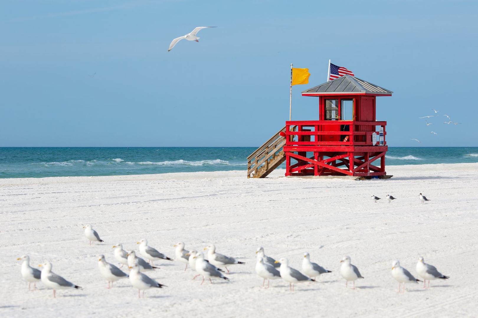 A vibrant red lifeguard stand marks your private stretch of pristine white sand beach, with turquoise waves and coastal birds creating a classic seaside escape.