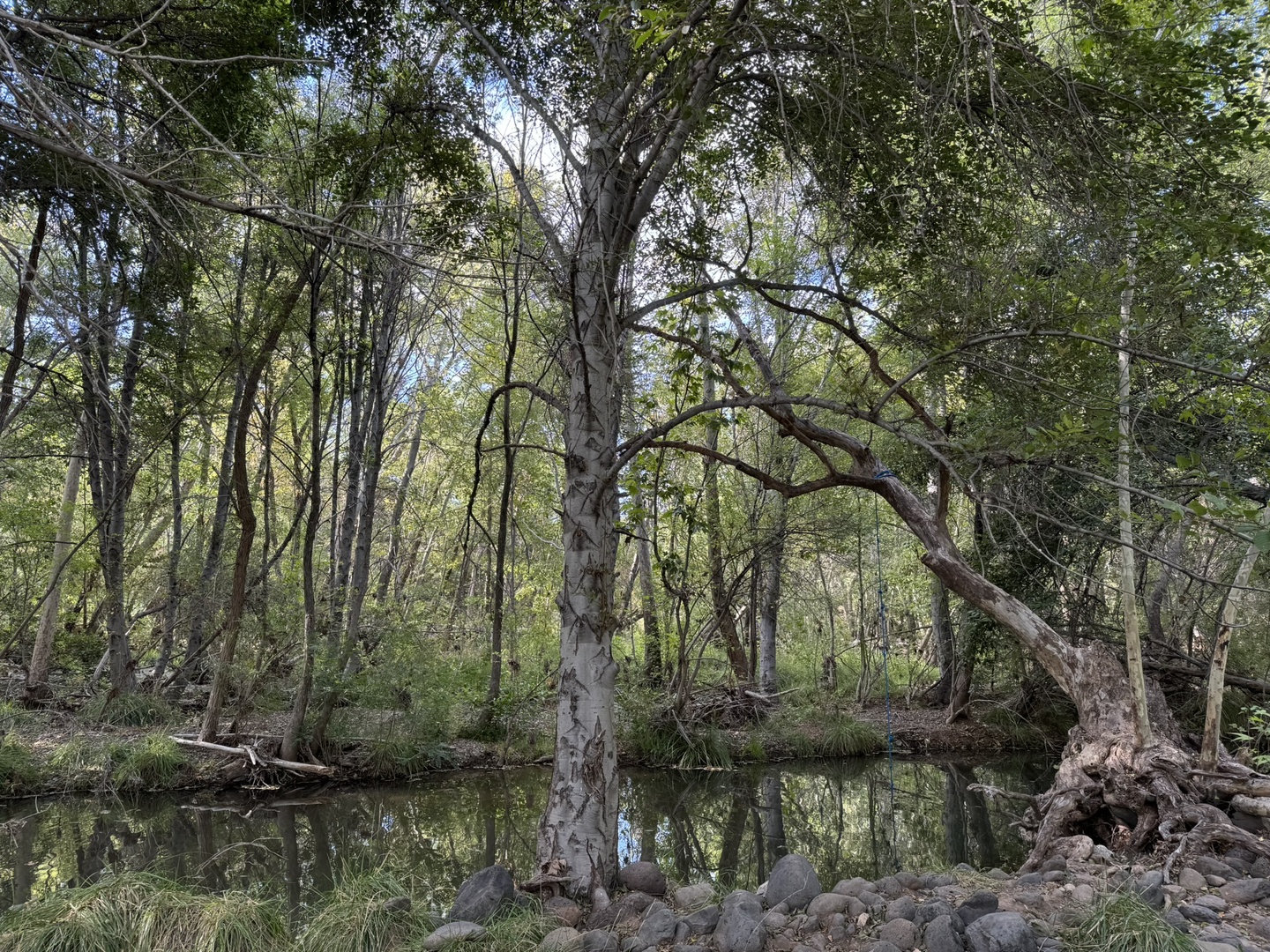 A 5-minute walk brings you to the Verde River