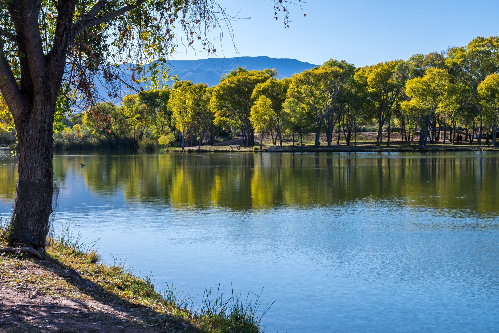 Cottonwood Parks are on the Verde River