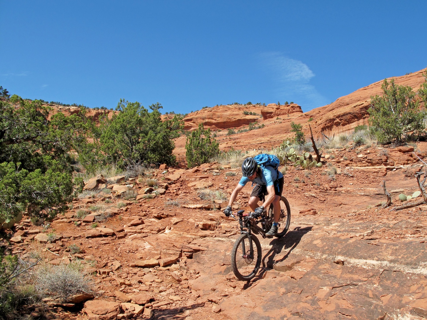 Mingus Mountain Hiking, Biking, ATV and Trails are close by