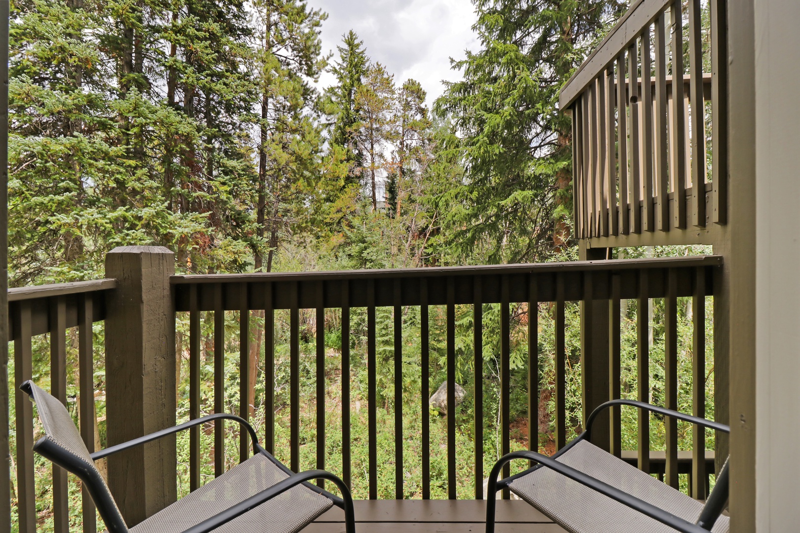 Your private retreat among the trees invites you to unwind and breathe in the fresh mountain air, where forest views and peaceful surroundings create the perfect escape.