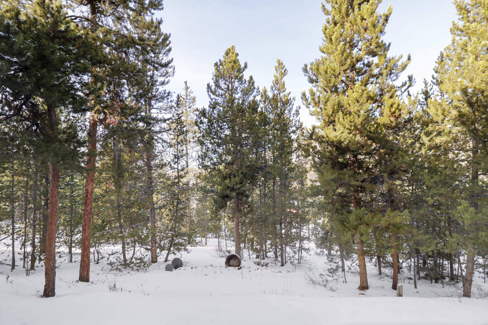 Snow-covered forest landscape surrounds the property with towering evergreens creating a peaceful winter wonderland setting.