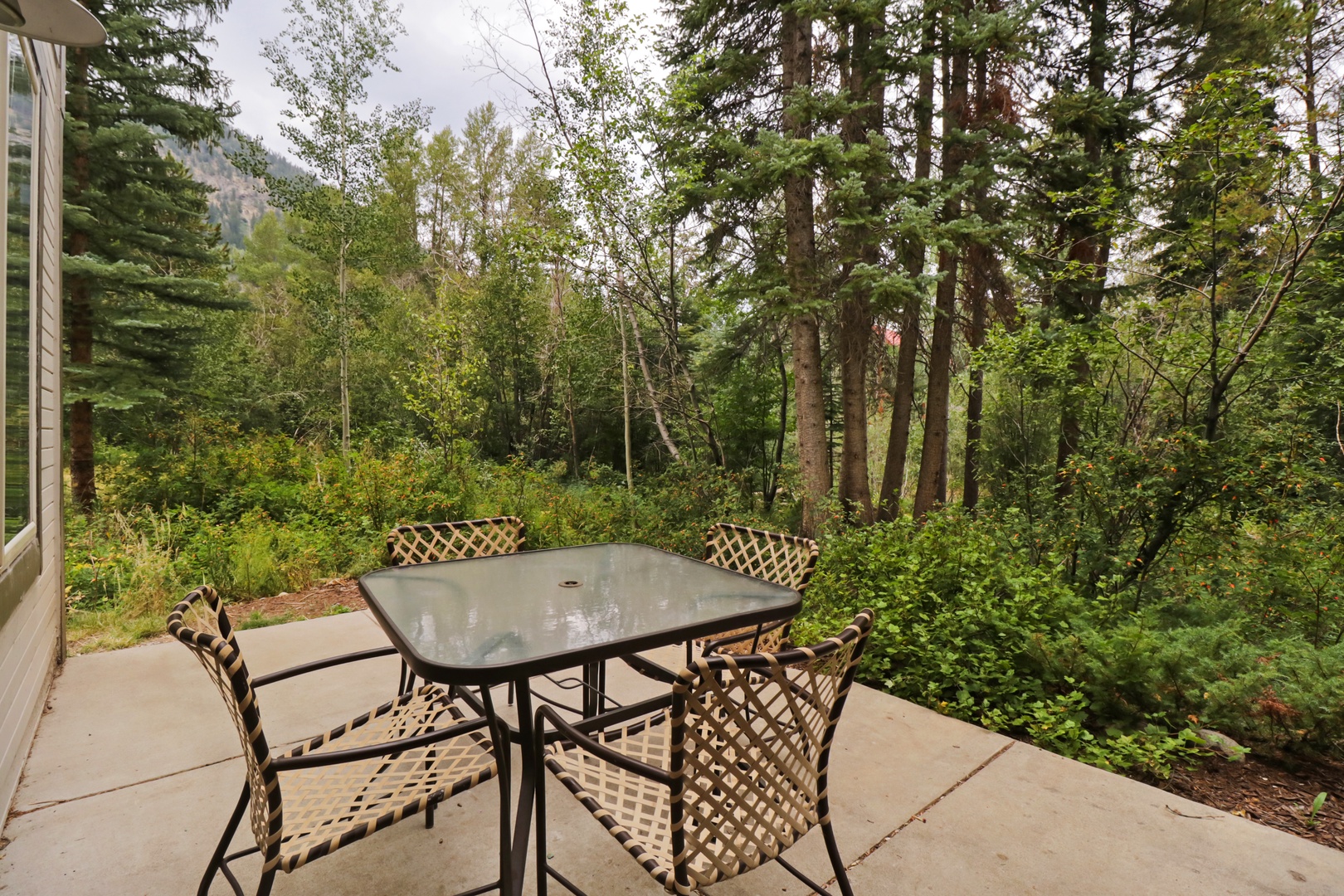 Your private patio is surrounded by towering pines and lush forest, offering a peaceful spot to enjoy morning coffee or evening conversations in nature's embrace.