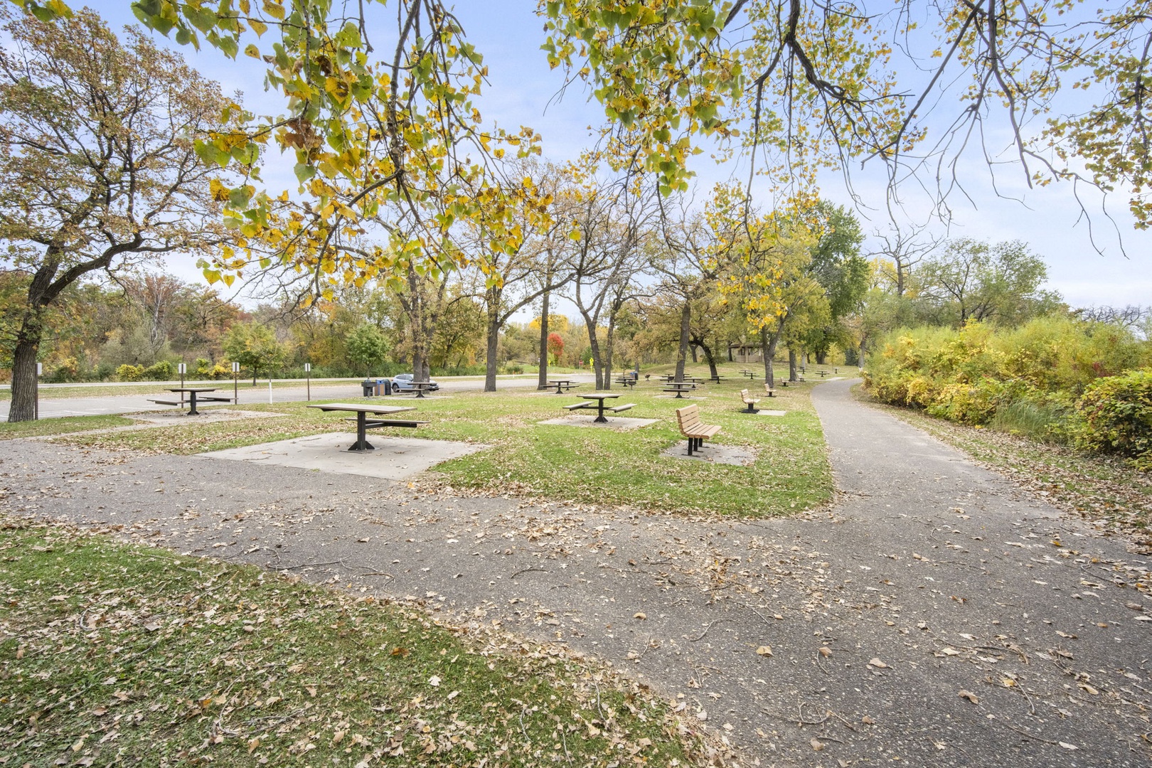 Plenty of seating available at the park