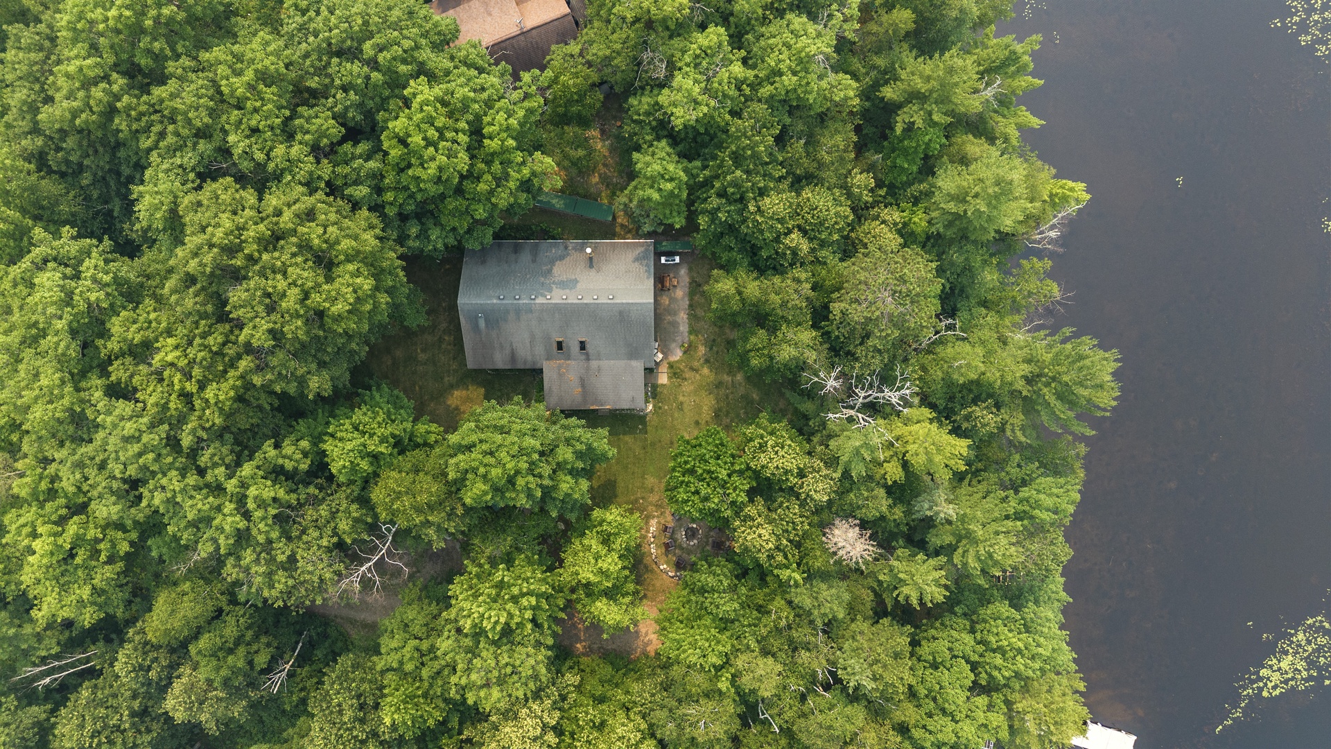 Aerial view of a lakeside vacation rental property nestled privately among vibrant green trees, offering serene waterfront access and natural surroundings.