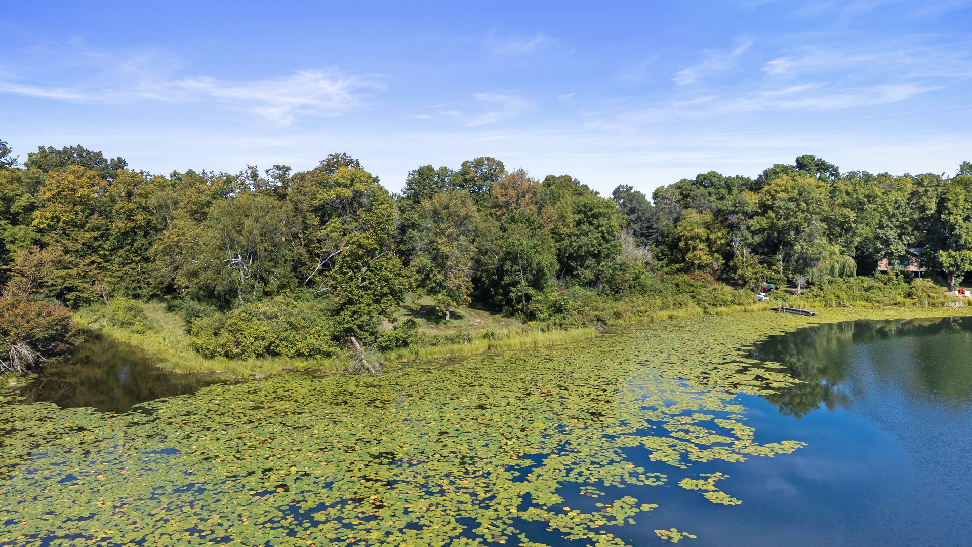 A serene lake surrounded by lush trees, reflecting bright blue skies and scattered lily pads—part of the natural scenery near the property.