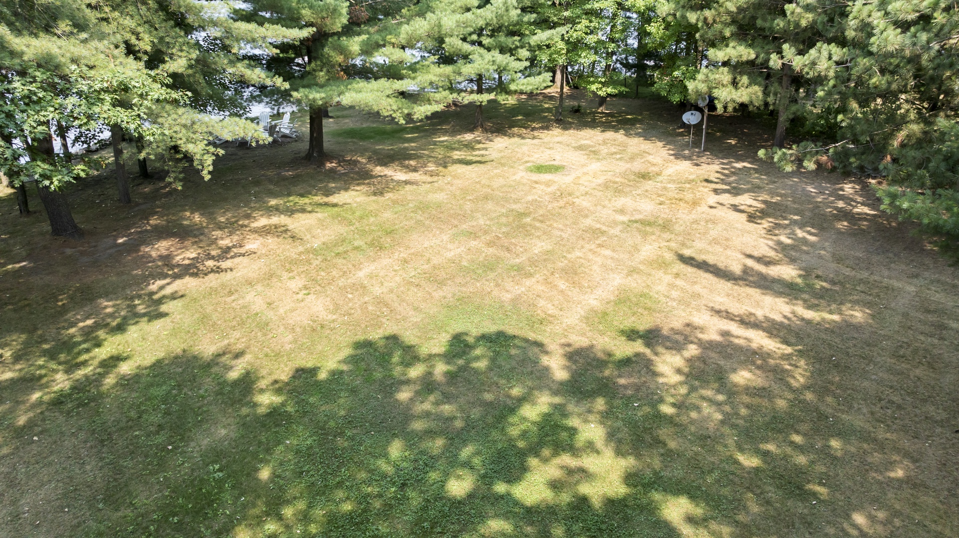 A spacious, tree-lined yard offering plenty of open space surrounded by natural beauty and towering pines.