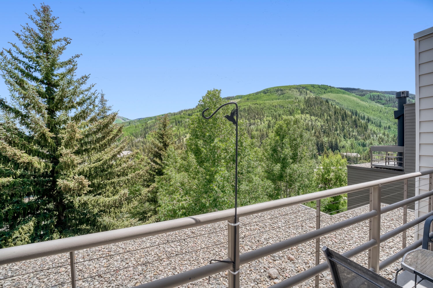 Deck View