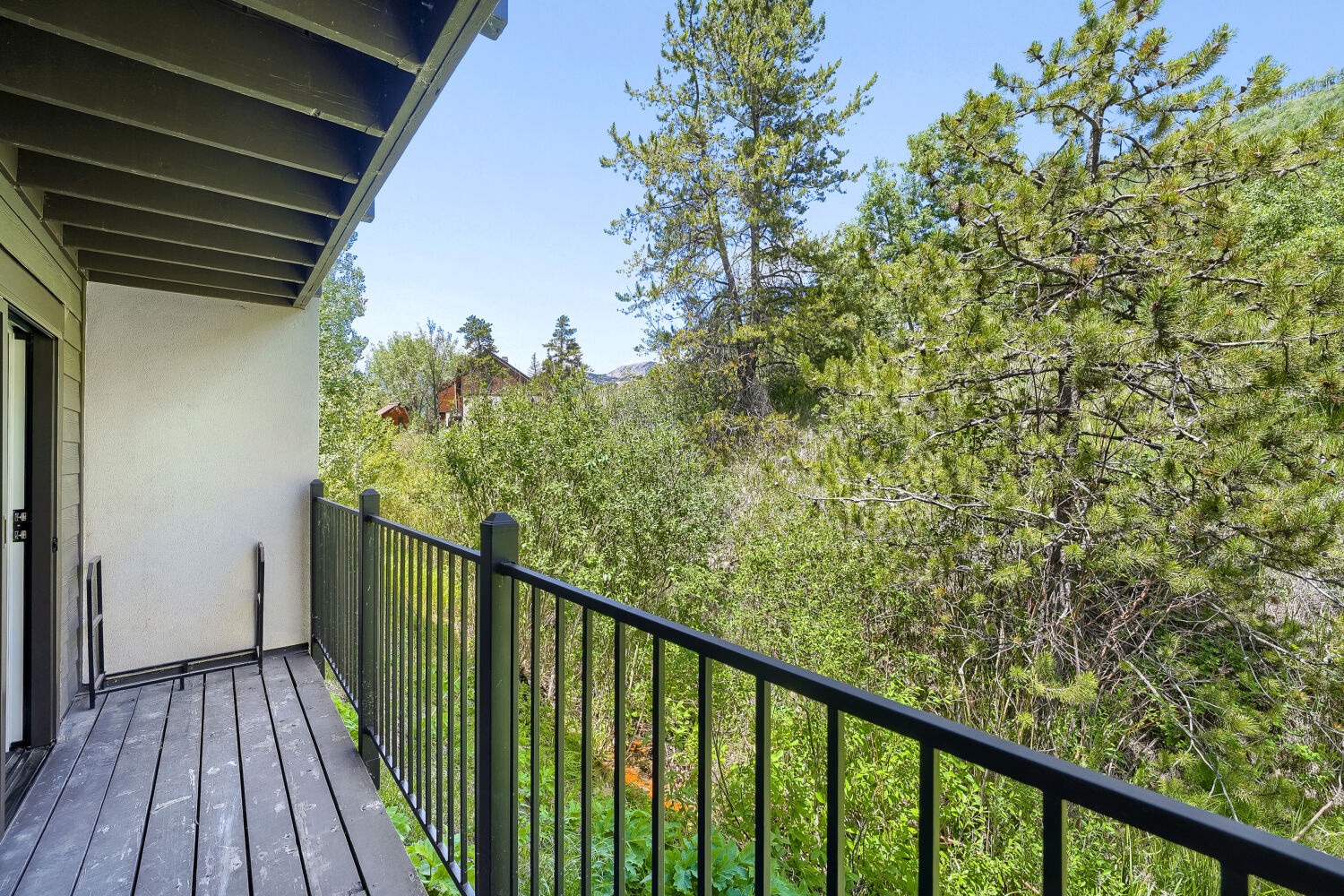 Deck View