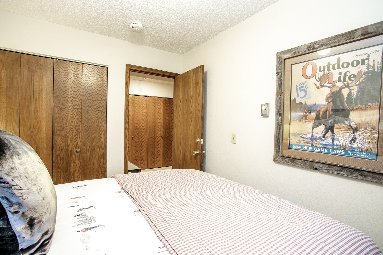 Lower Level Guest Bedroom