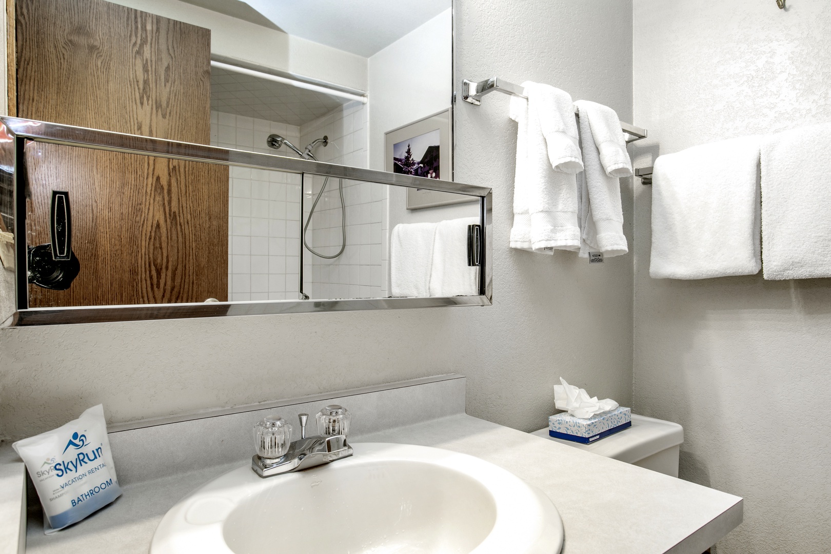 Lower Level Guest Bathroom