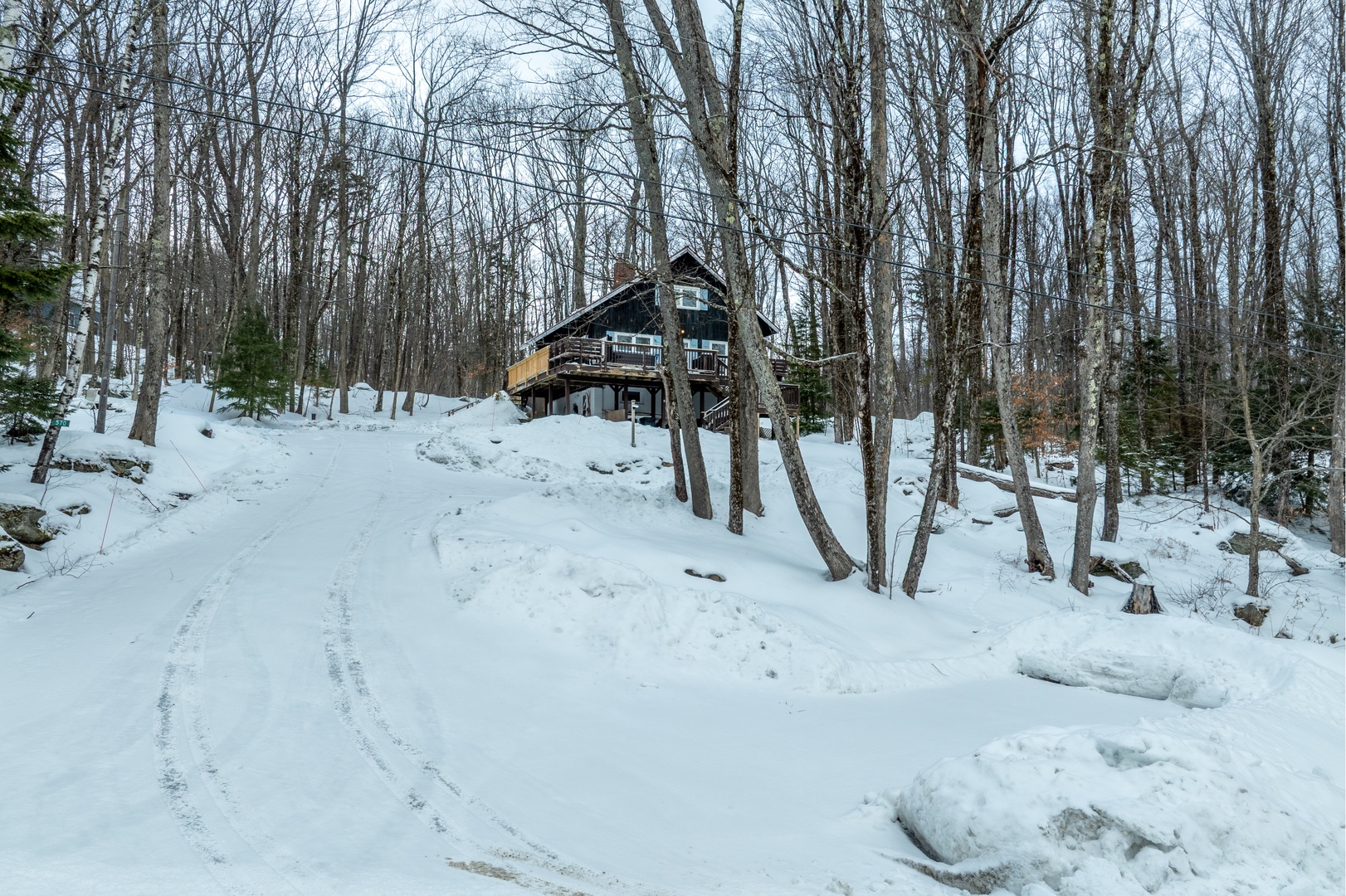 Your rustic wooden cabin nestled among snow-covered trees, offering a peaceful winter retreat surrounded by pristine forest.