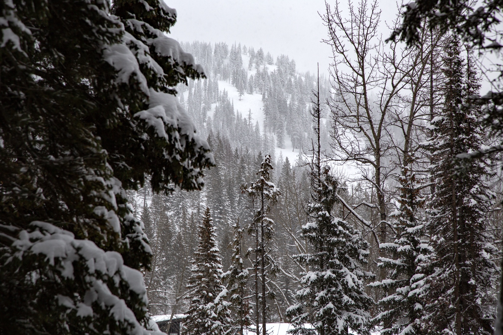 Snow-covered mountains and evergreen forests create a pristine winter wonderland surrounding the property area.