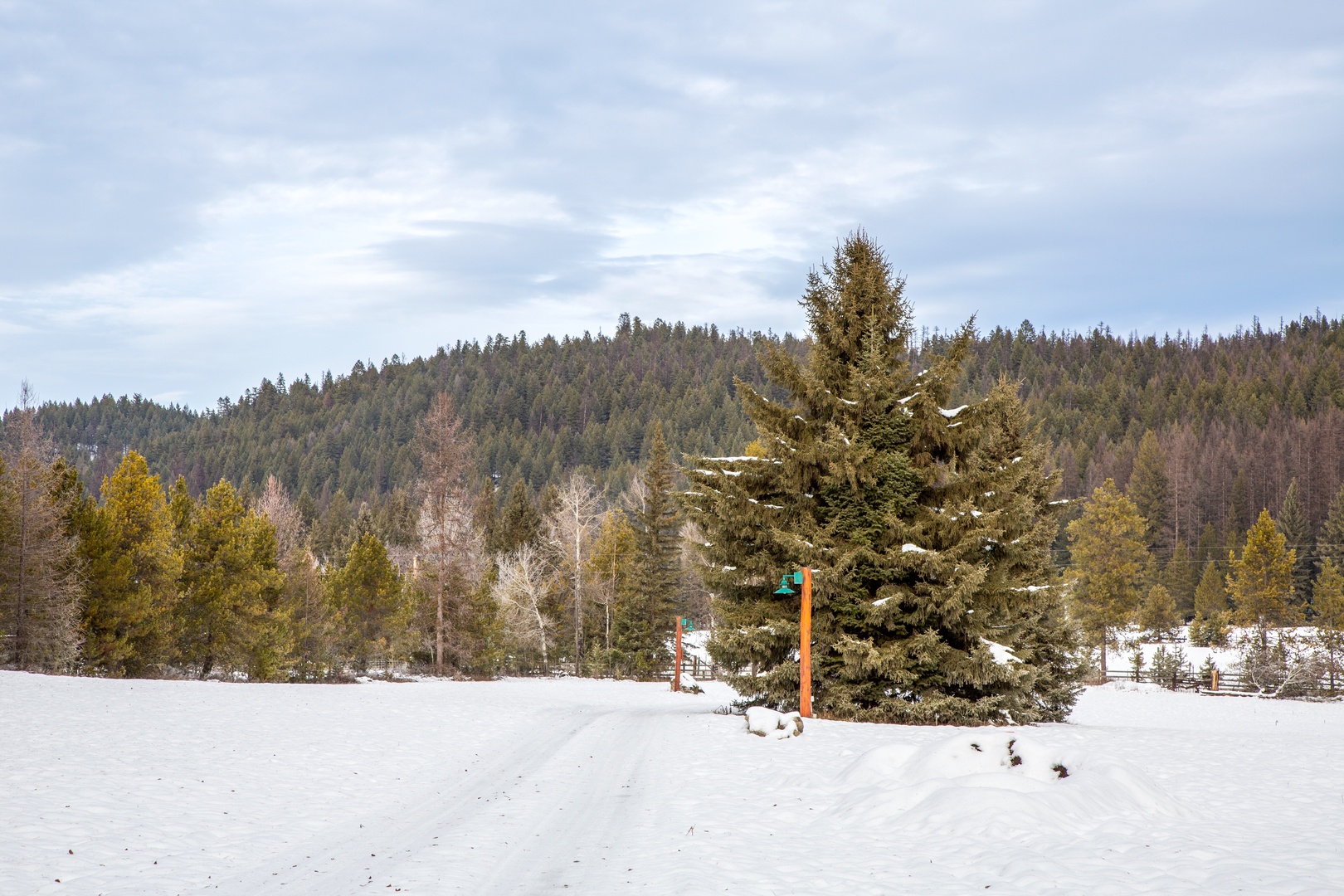 Pristine winter landscape with snow-covered slopes and forested mountains creating a peaceful mountain retreat setting.