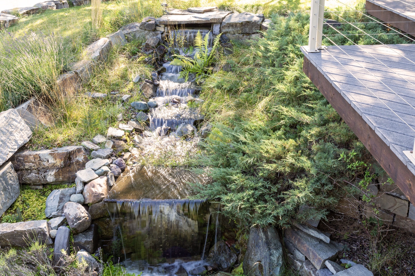 A tranquil natural water feature with cascading tiers flows alongside wooden decking surrounded by lush ferns and native grasses.