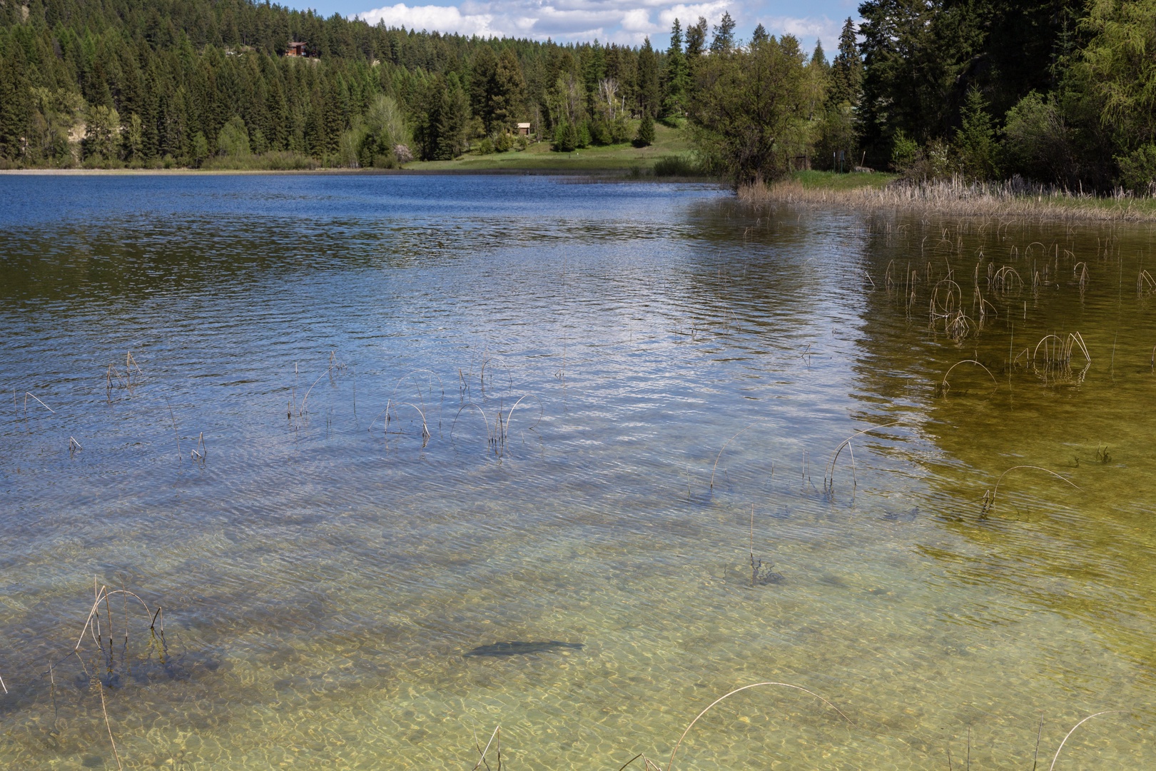 A serene lake surrounded by dense pine forests defines this peaceful property location, offering a natural retreat in a secluded woodland setting.