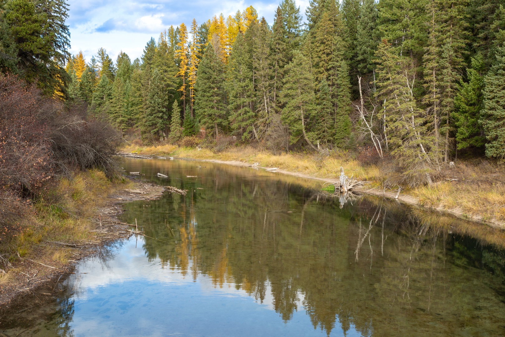 Peaceful river winds through autumn forest with golden leaves creating perfect reflections in calm waters.