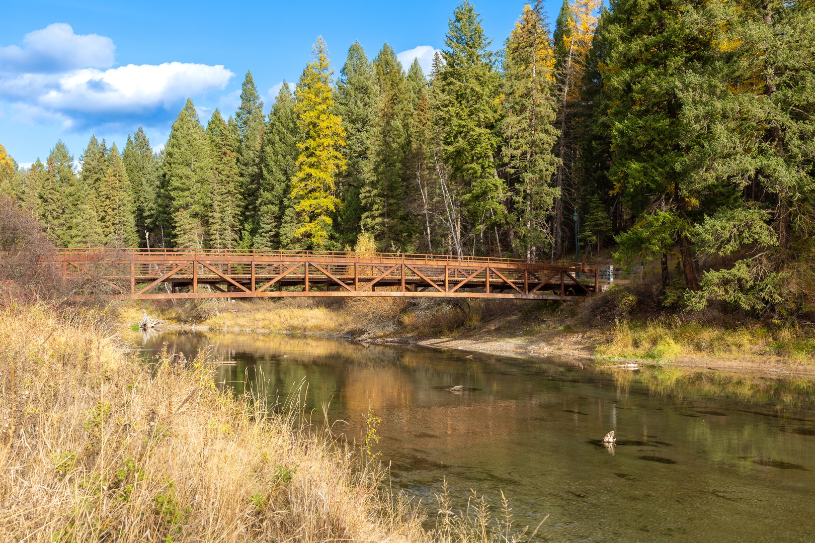 Peaceful wooden bridge spans a serene river surrounded by vibrant autumn forest, creating a picturesque natural setting nearby.