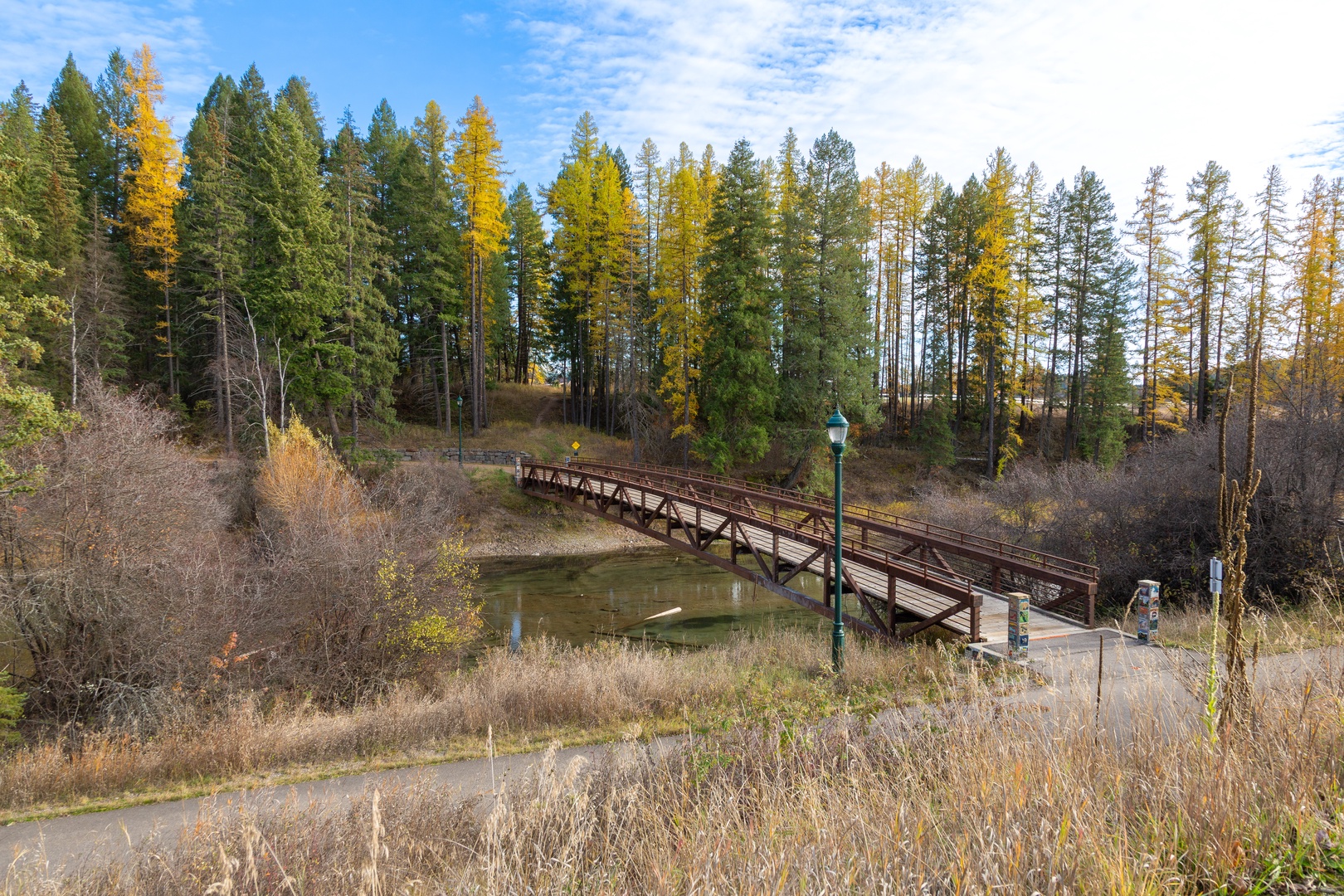 Peaceful wooden bridge spans across tranquil waters, surrounded by vibrant autumn forest displaying golden and green foliage in this scenic natural setting.