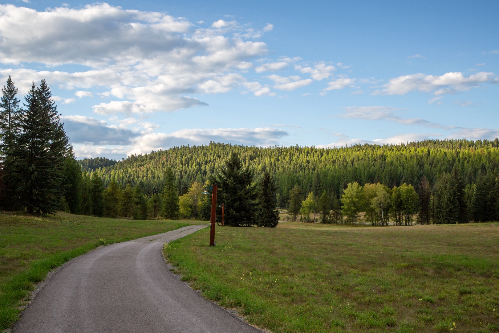 Scenic countryside road winds through rolling meadows toward dense forest hills under dramatic cloudy skies.