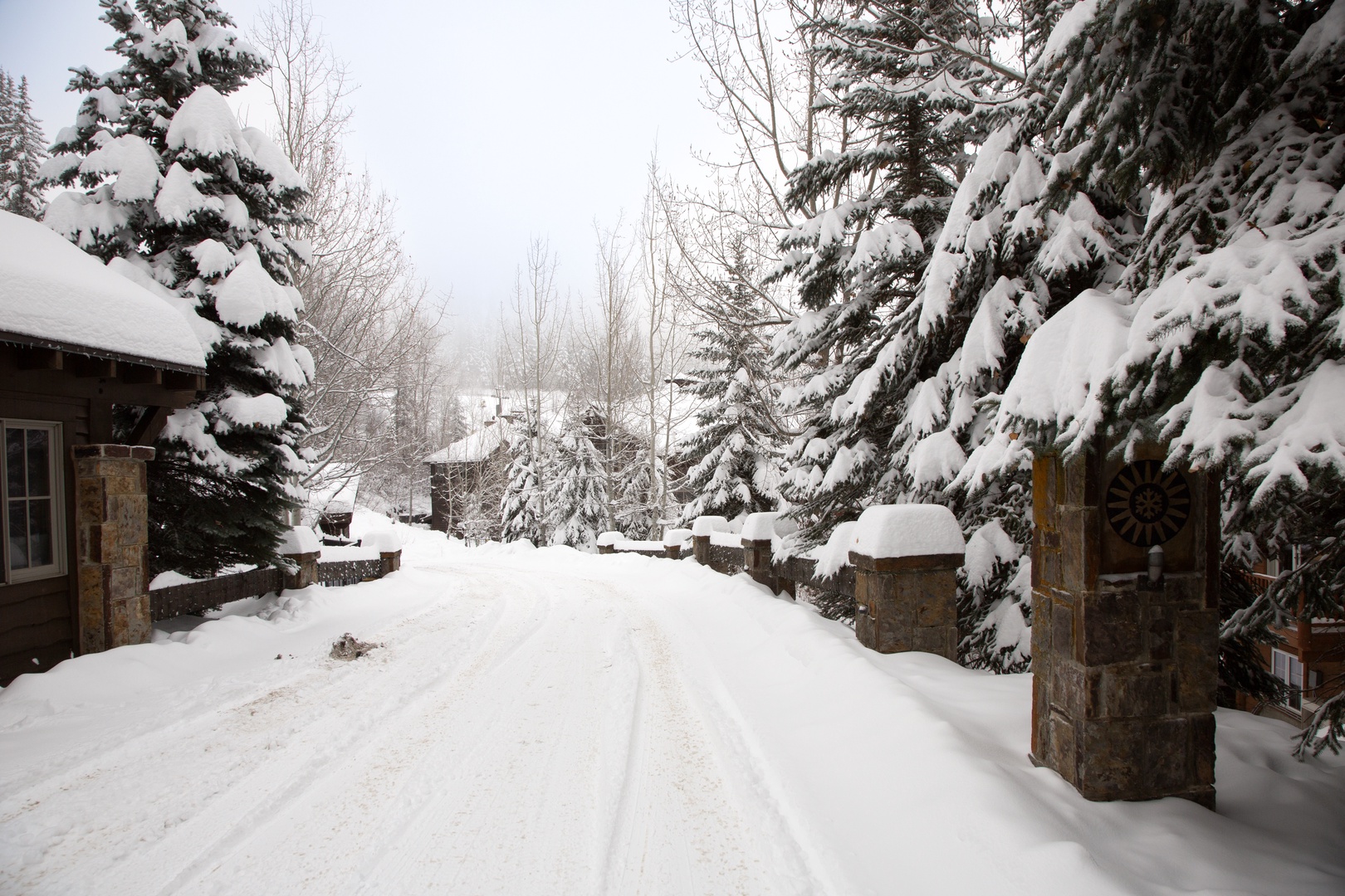 Peaceful wooded mountain setting