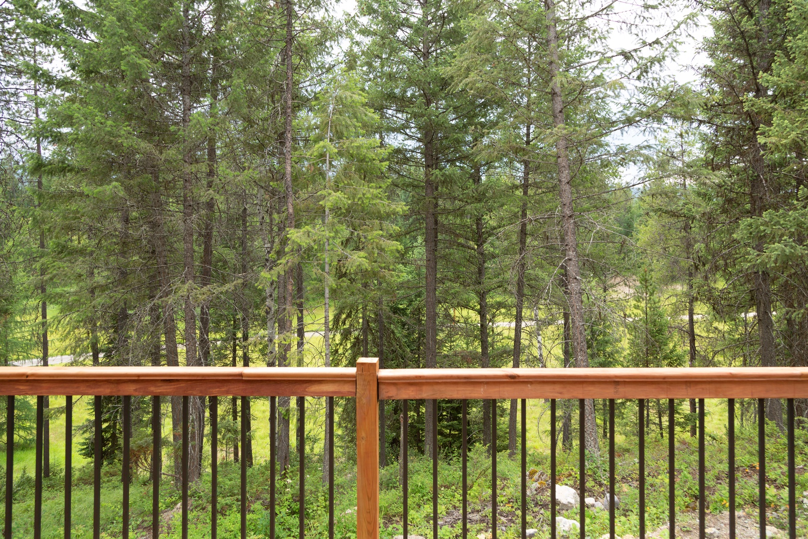 Step onto your private balcony and breathe in the crisp forest air as towering pines create your peaceful woodland sanctuary.
