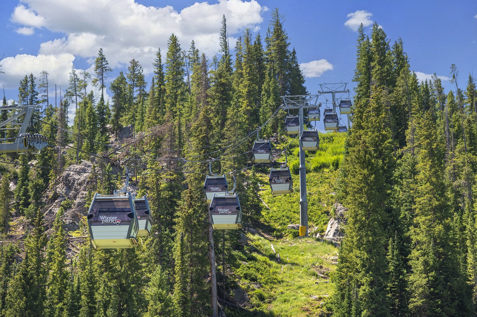 Scenic gondola lift winds through tall evergreens beneath a blue sky.