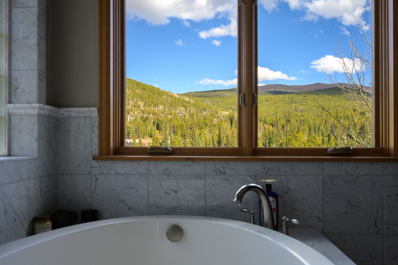 Stunning views outside everywindow of the home!