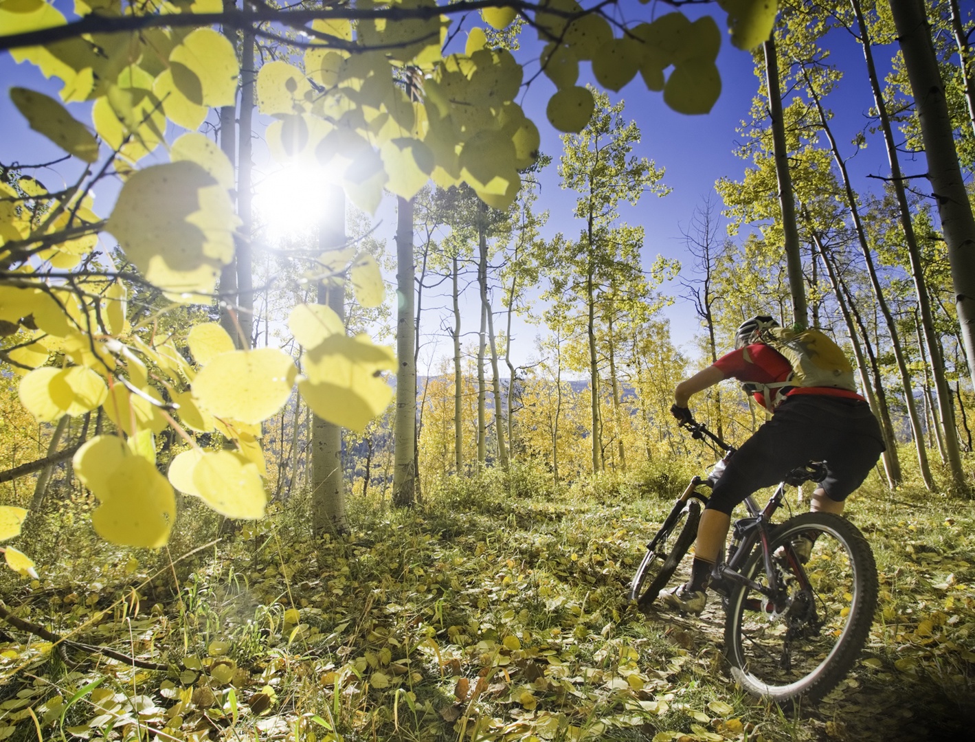Scenic bike trails winding through the mountains.