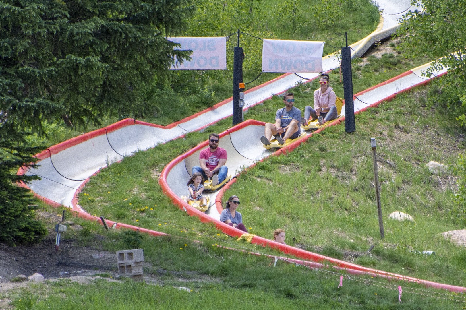 Summer fun awaits on this winding hillside alpine slide, where lush greenery frames an exhilarating outdoor adventure perfect for families and thrill-seekers alike.