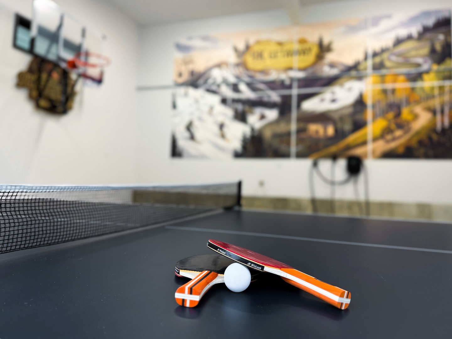 With ping pong, paddles and balls provided.