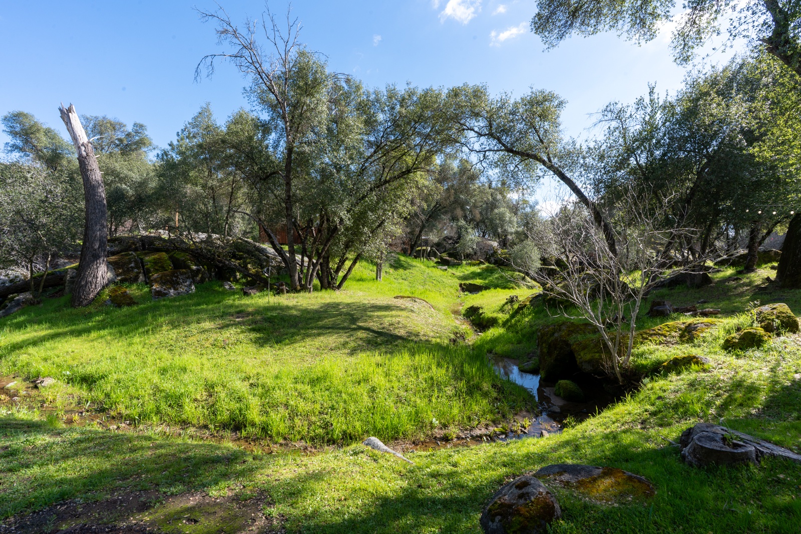 Peaceful natural landscape.