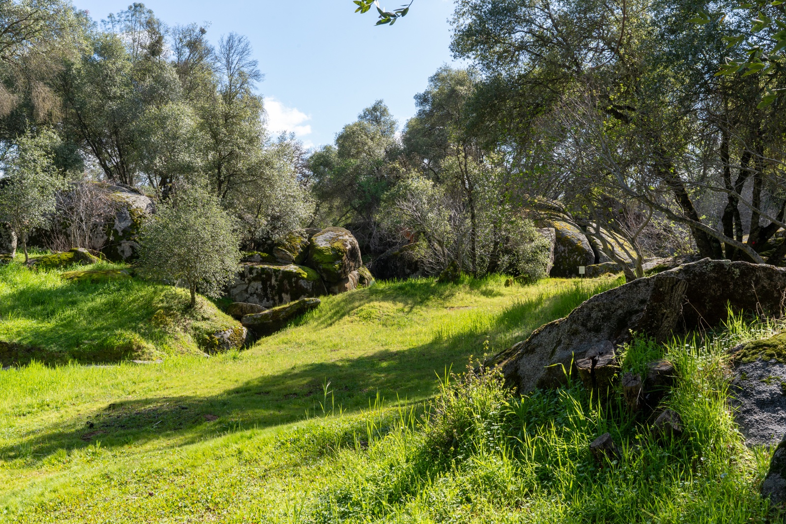 Lush natural landscape.