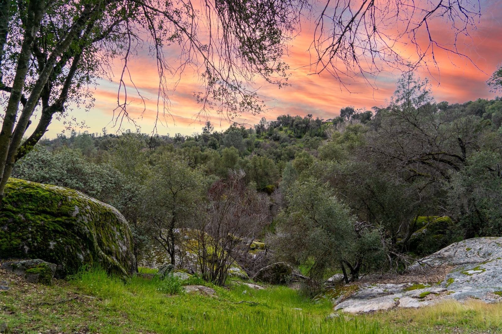 Enjoy the twilight hours as you take in the beautiful natural surroundings.