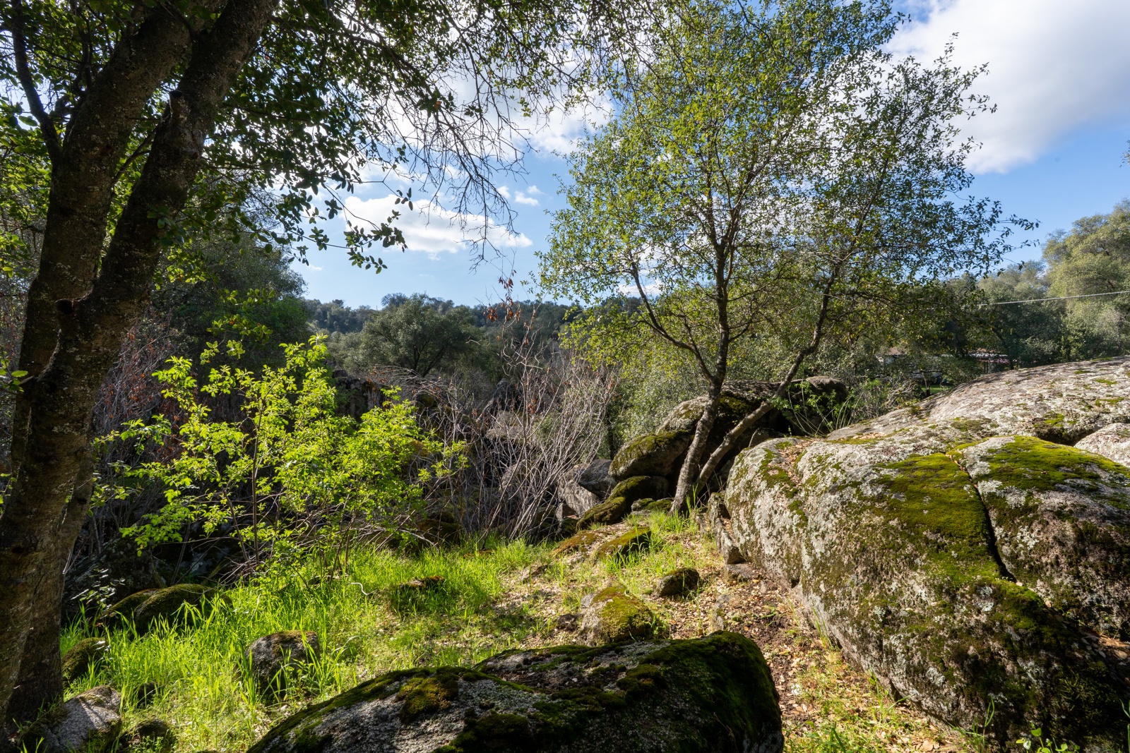 Enjoy nature while amidst moss-covered rocks, lush trees, and rolling hills.