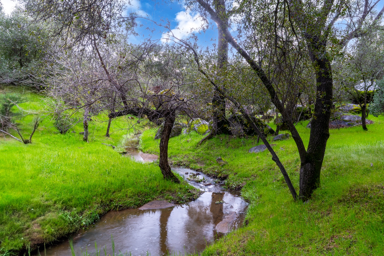 Tranquil seasonal creek winds through the property dotted with mature trees.