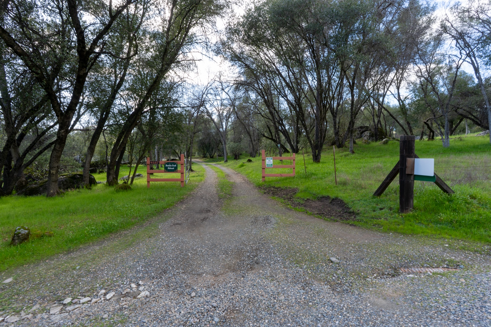 A gravel driveway leads through mature trees to the property entrance.