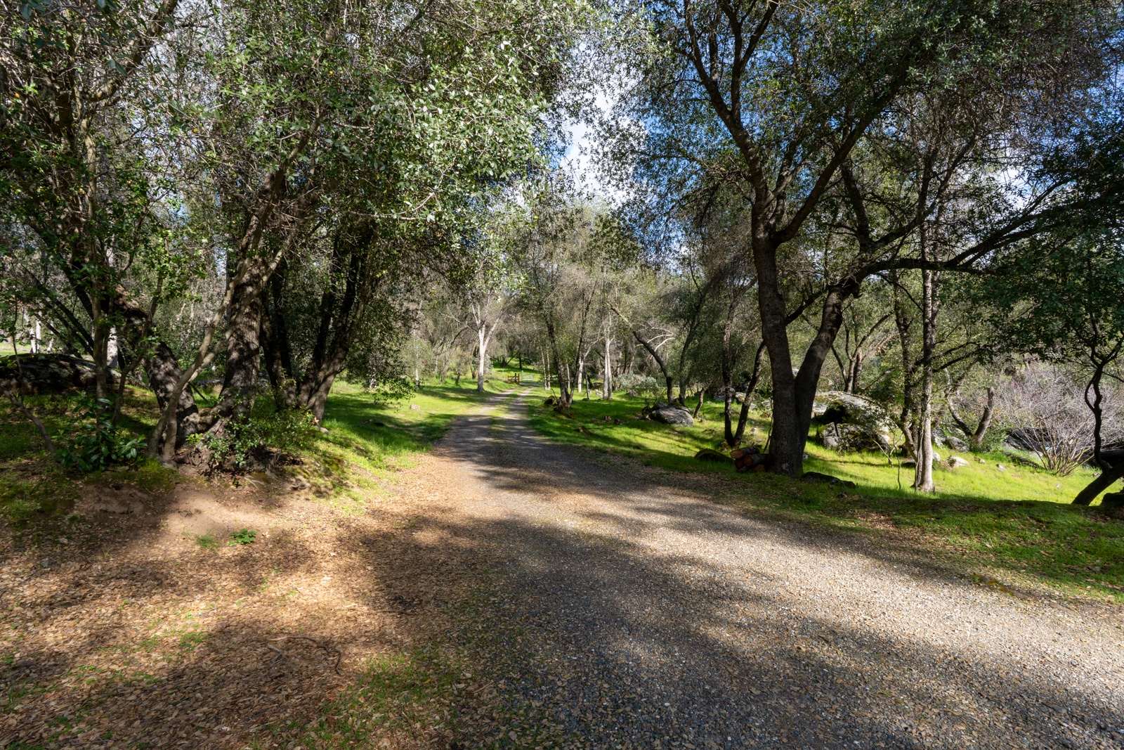A gravel driveway winds through mature trees and landscaped grounds, leading to the property entrance.