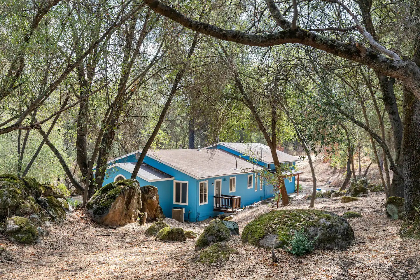 A charming blue cottage nestled in a serene setting, surrounded by towering trees and natural boulders creating a peaceful retreat atmosphere.
