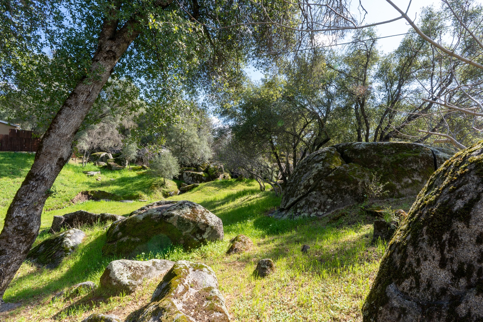 A peaceful natural landscape.